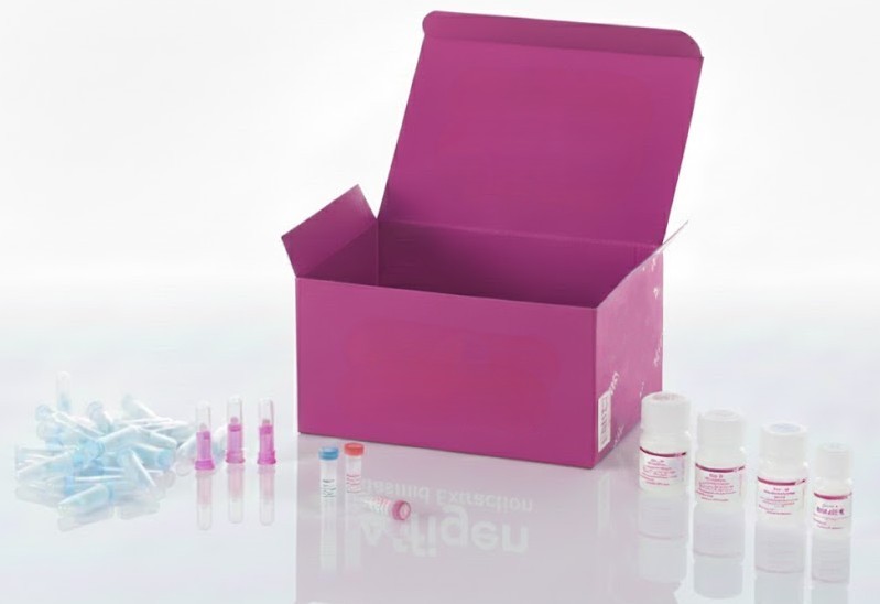Cáncer de mama emparejado con normal, 16 casos en 48 núcleos (2 mm), conjunto 1